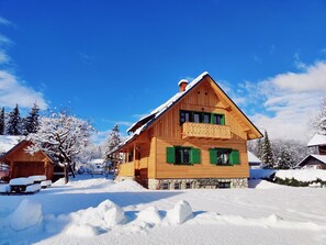 Front of property - Cottage Suha (Bohinj)