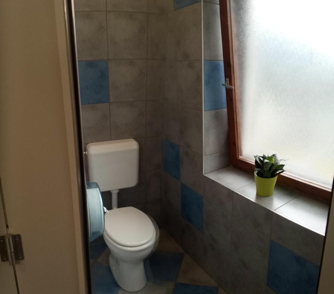 A small bathroom with a toilet, a window with a plant, and blue and gray tiles.