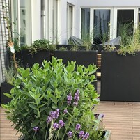 Um edifício moderno com grandes janelas e um jardim no telhado com diversas plantas e flores.
