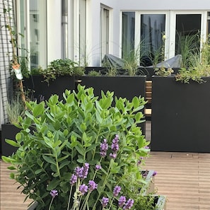 Sun deck