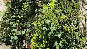 Eine Steinsäule mit Rosenranken und üppigem Grün.