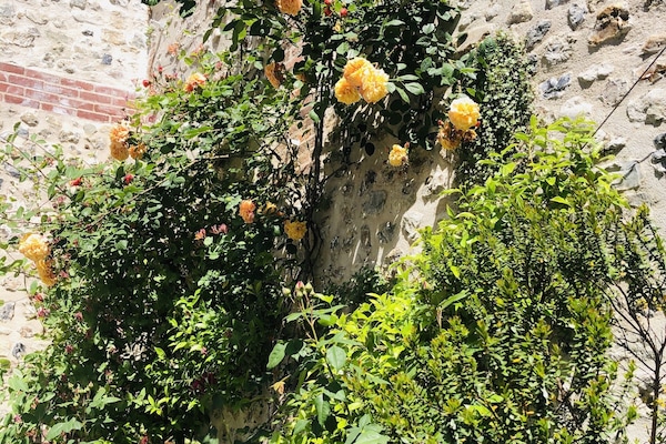 Detall de l'exterior