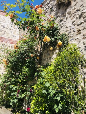 تفاصيل الفندق من الخارج