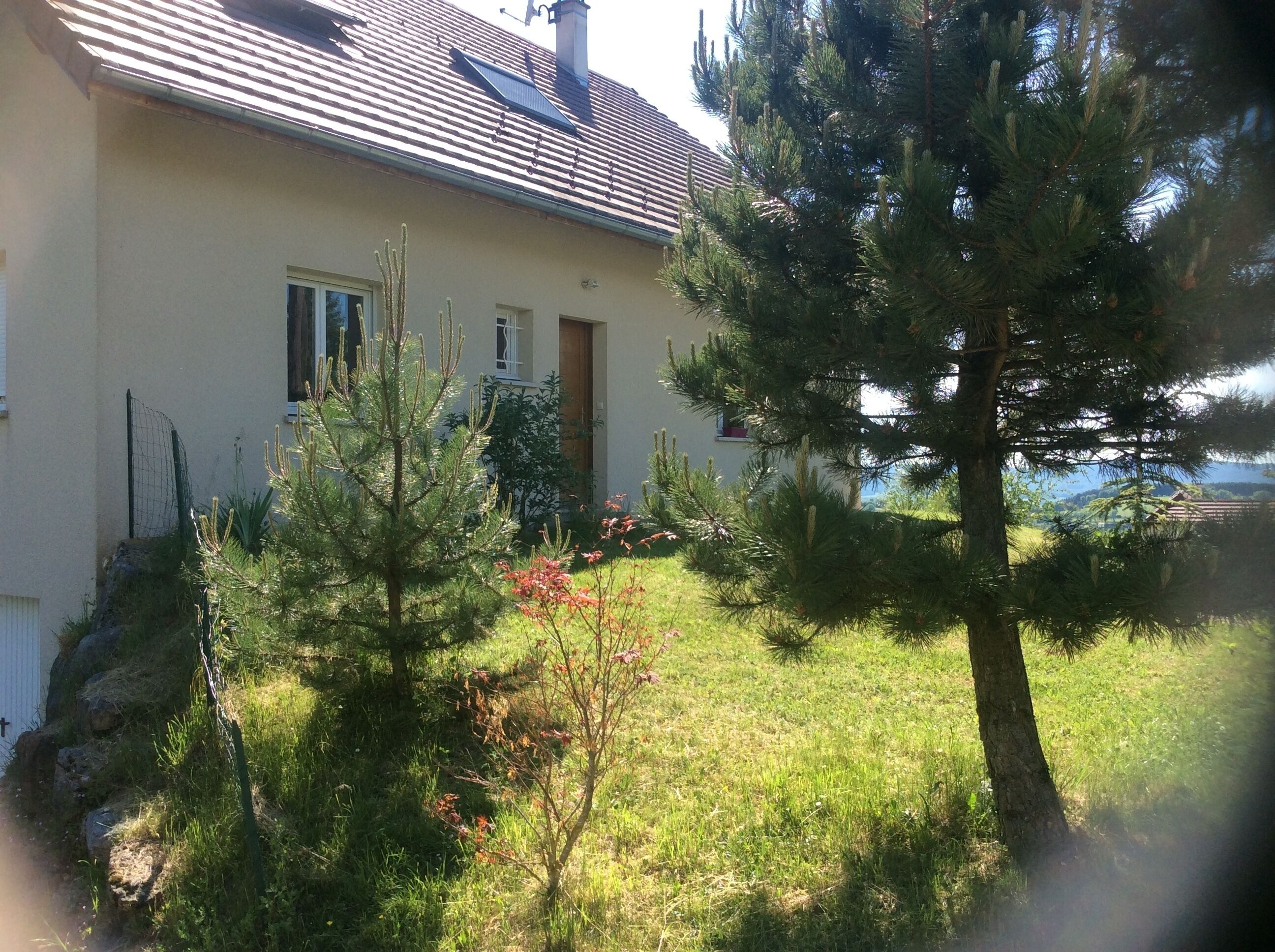 A house with a sloped roof, a small porch, and a garden with various plants and a tree.