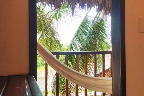 Superior Room (Queen) | View from room