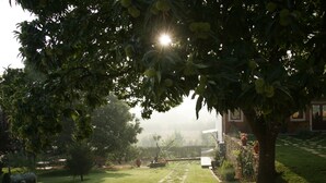 A garden with a stone pathway, a tree with hanging fruits, and a building in the background. - Vila dos Castanheiros (Ferreira do Zezere)