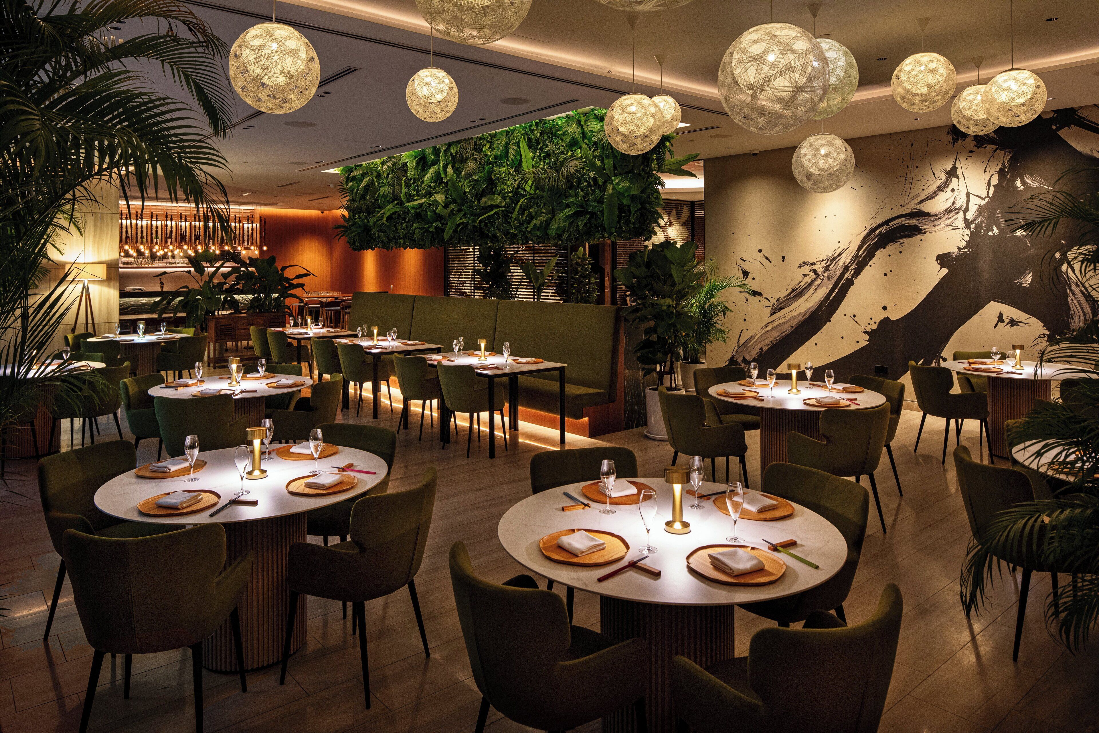 lunch and dinner served, japanese cuisine