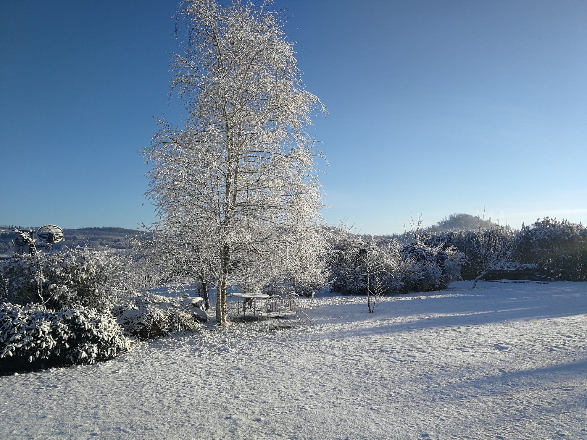 A snow-covered landscape with a tall tree, a metal sculpture, and a clear blue sky.