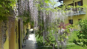 Een gang met overhangende wisteria, een bank en een gebouw met balkons.