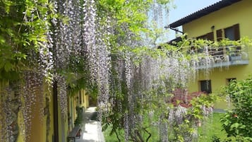 Trädgård