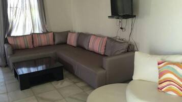 37-inch plasma TV with satellite channels, TV