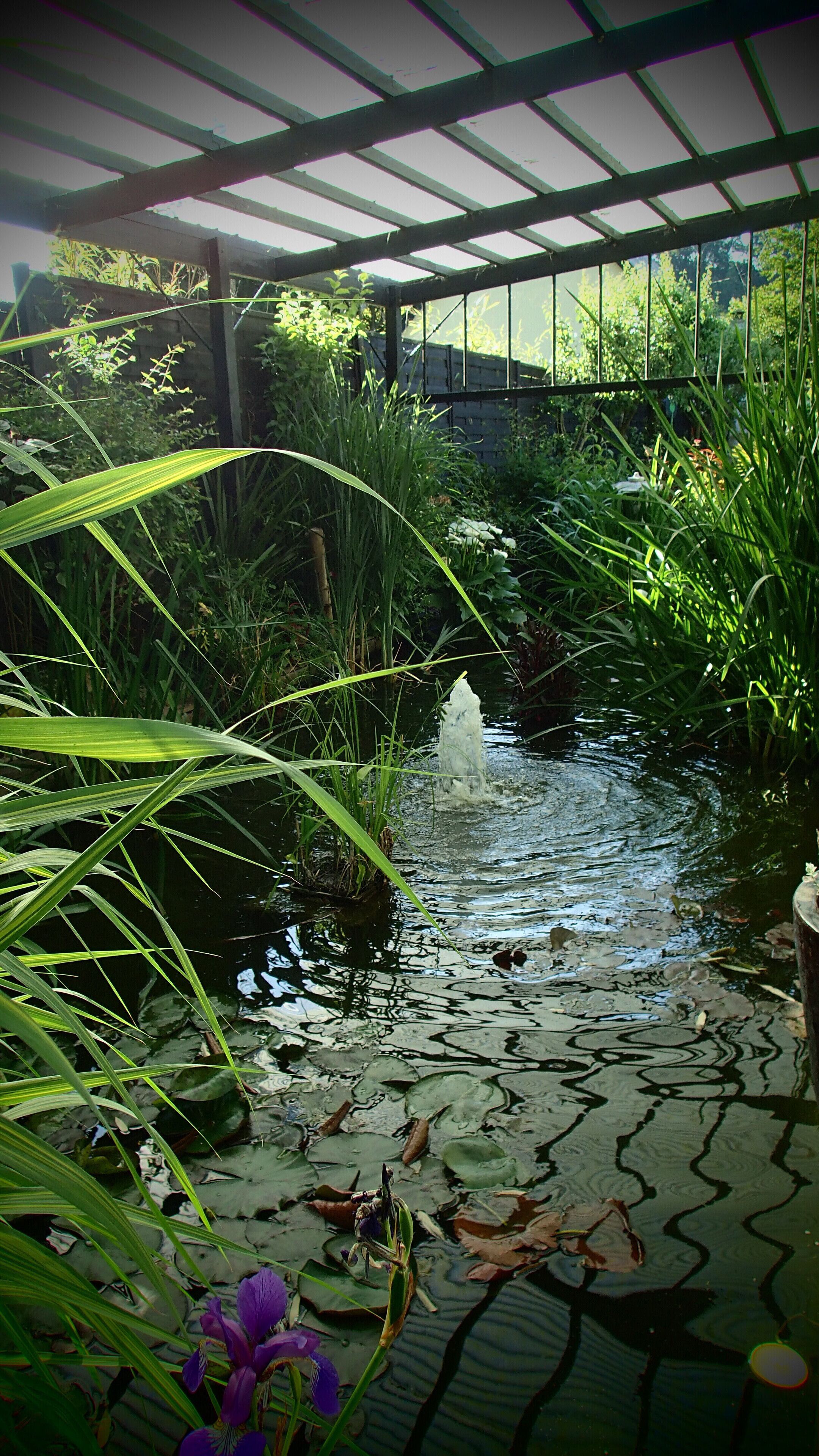 Enceinte de l’hébergement