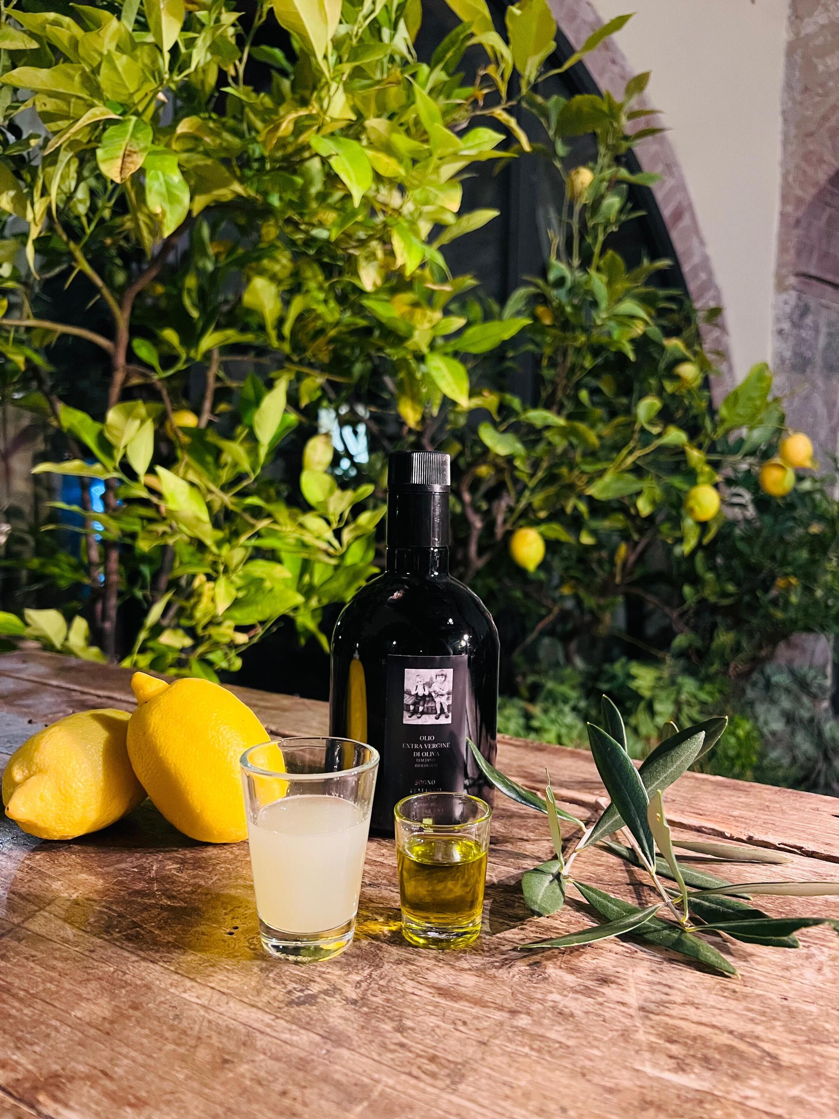 Eine Flasche natives Olivenöl extra, zwei Zitronen und ein Glas Olivenöl auf einer Holzoberfläche, im Hintergrund grünes Laub und eine Steinmauer.