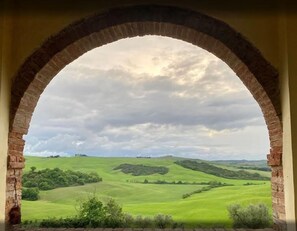 Vista a través de un ventanal arqueado de un paisaje verde con colinas onduladas y árboles.
