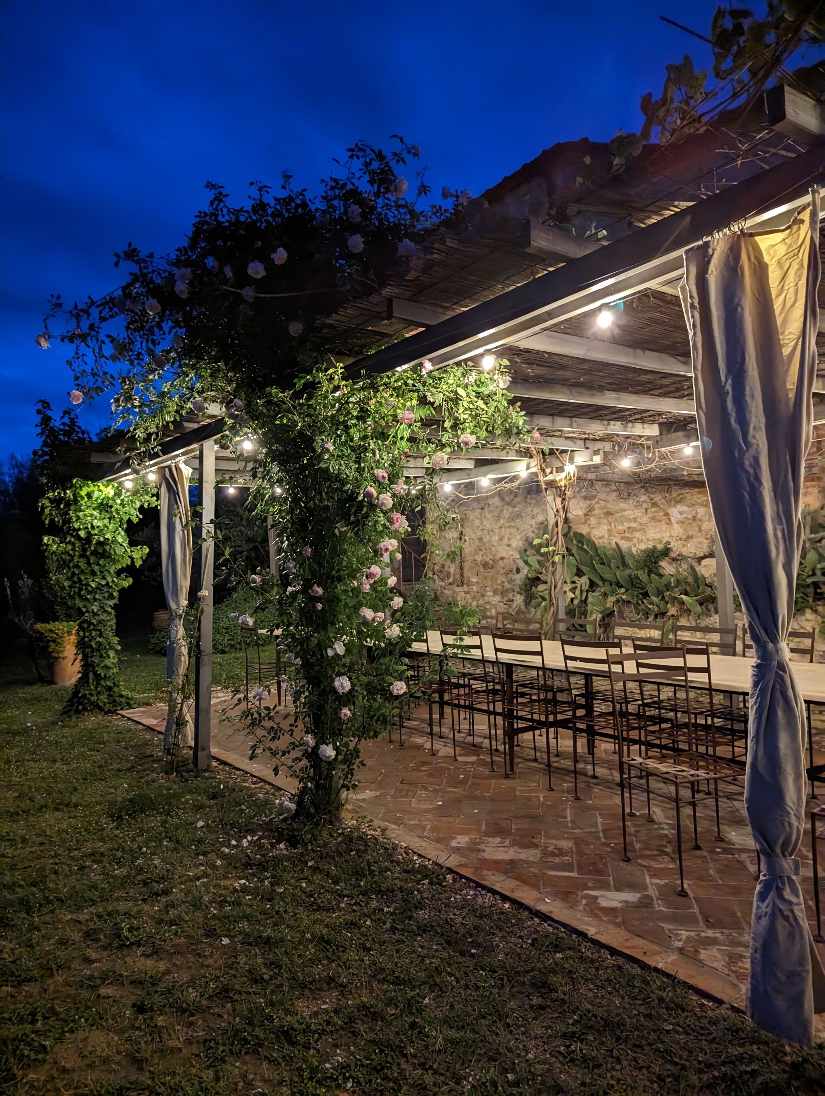 Patio esterno con pavimento in pietra, pergola ricoperta di piante rampicanti e luci decorative.