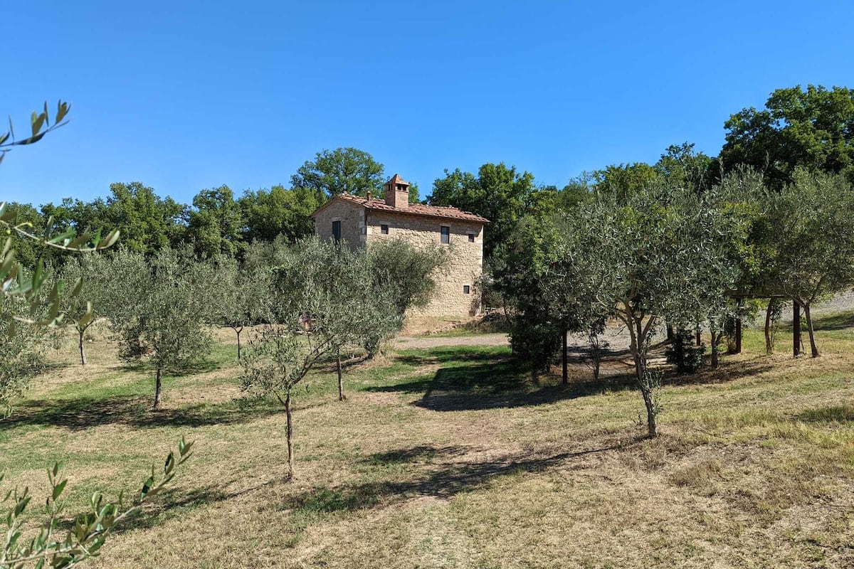 A stone house with a tiled roof surrounded by olive trees on a grassy slope.