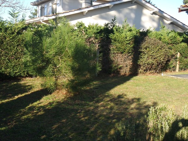 المنطقة المحيطة بالمنشأة