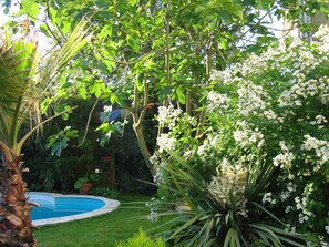 En trädgård med en swimmingpool, frodig grönska och blommande växter.