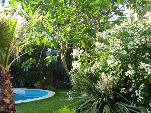un jardin en ville - Maison TOULOUSE proche métro