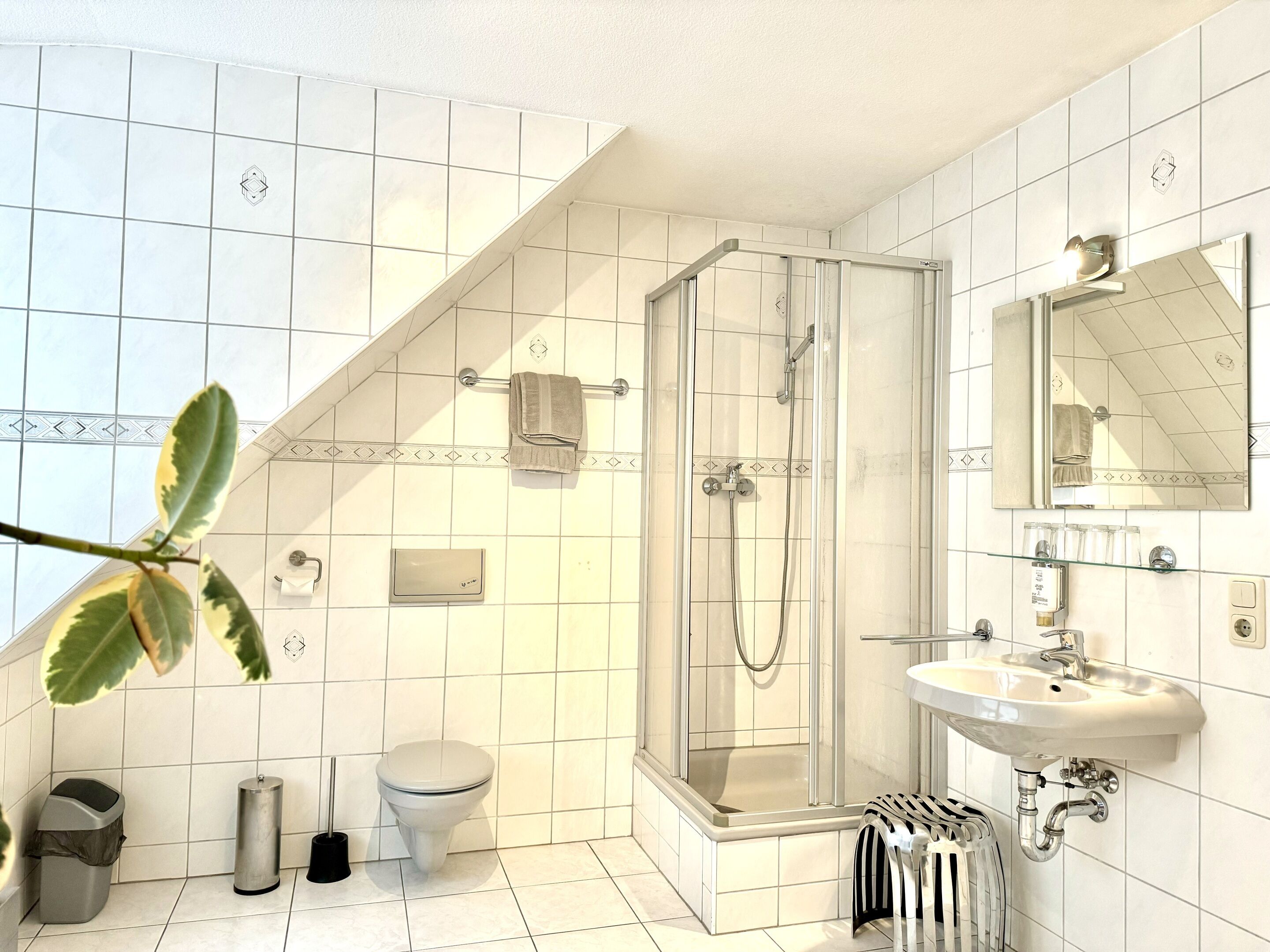 Apartament clàssic, bany privat, vistes a la ciutat | Bany