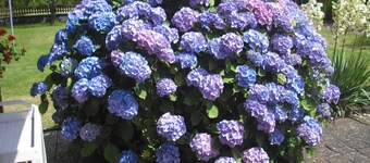 科托夫豪斯公寓飯店