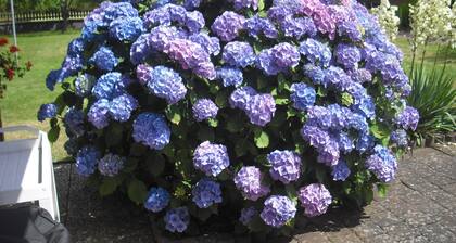 Ferienwohnung Haus Kotthoff