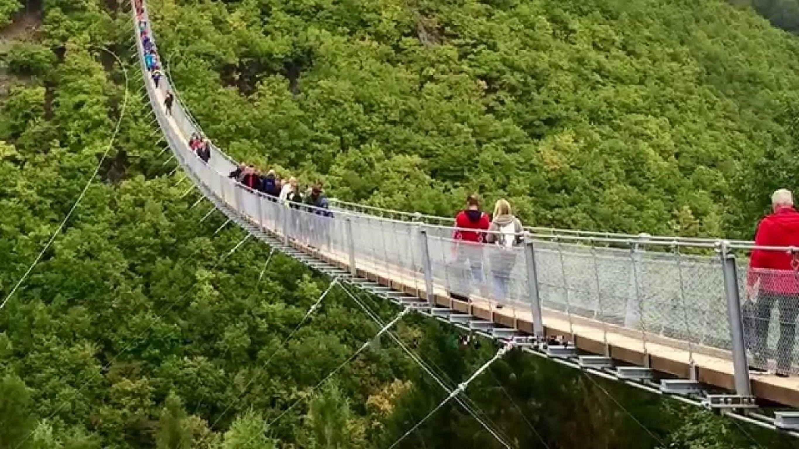 Un pont suspendu doté d’une rambarde métallique, entouré d’un feuillage verdoyant et dense.