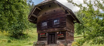 Quaint cottage on the farm in Carinthia, large pond, pets welcome