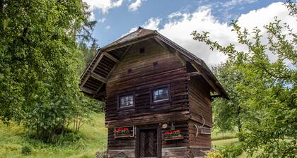 Urige Hütte am Bauernhof in Kärnten, großer Badeteich, Haustiere willkommen