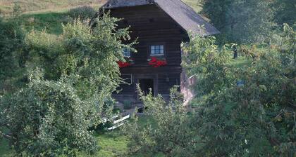 Viehättävä mökki tilalla Kärntenissä, suuri lampi, Kotieläimet tervetuloa