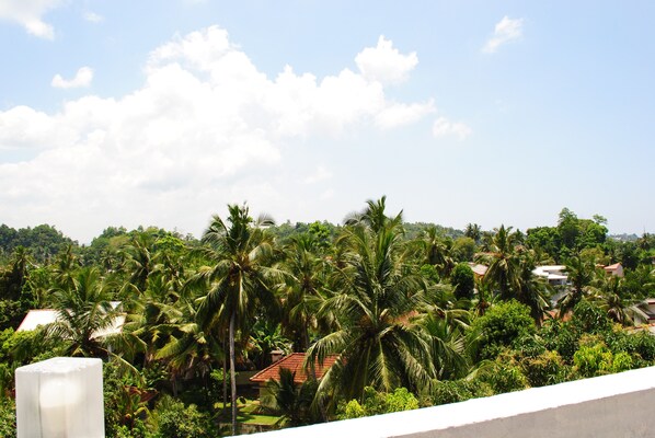 A lush landscape with dense palm trees and a few buildings in the background. - DSK Galle Apartments (Galle)