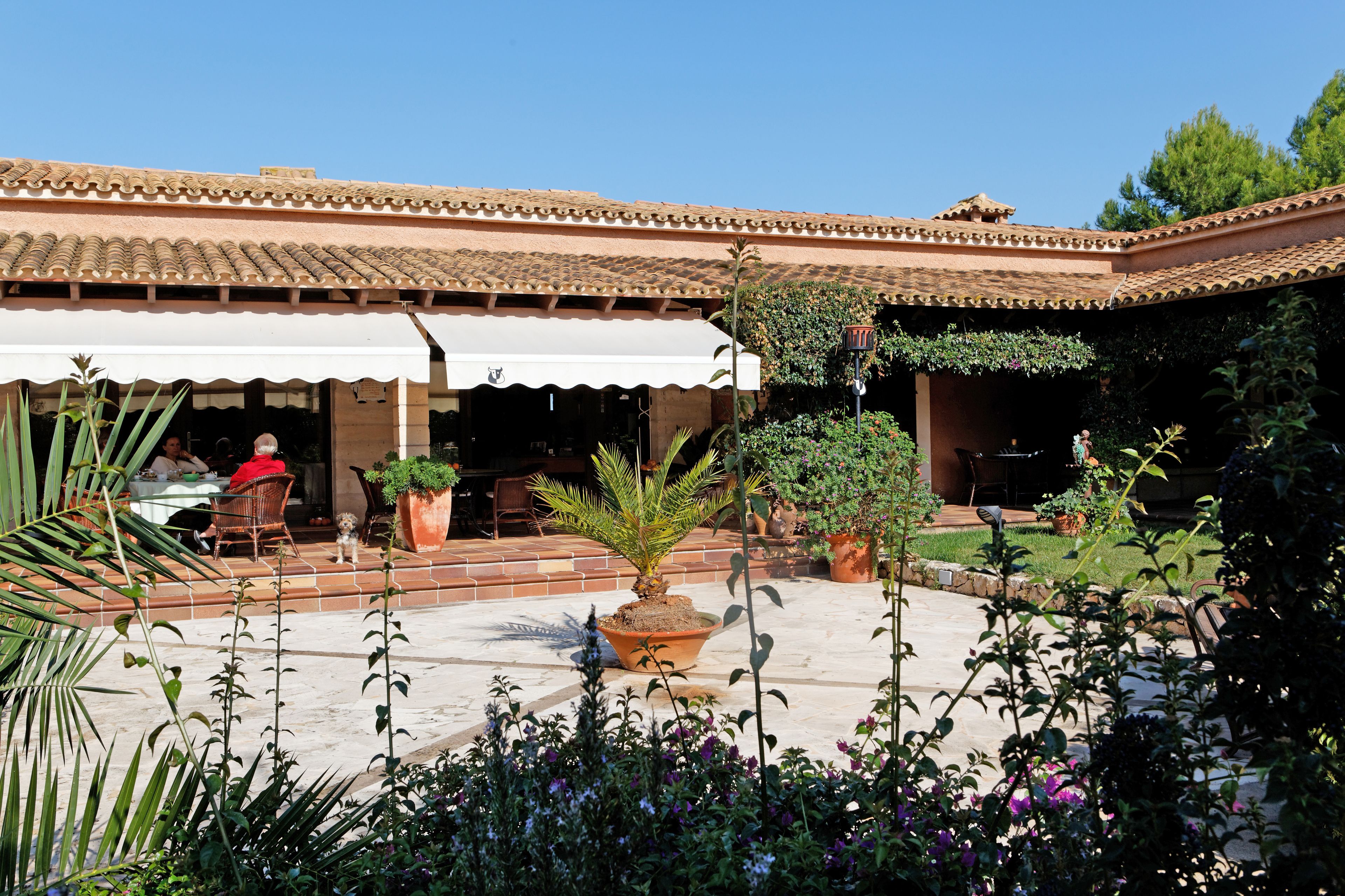 Garden view