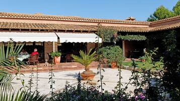 Garden view
