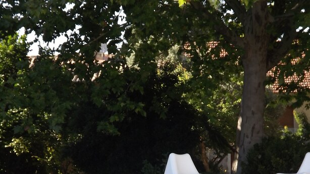 A clear swimming pool with white lounge chairs and a tree in the background. - La Bastide B&B (Cavaillon)
