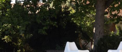 Outdoor pool, sun loungers