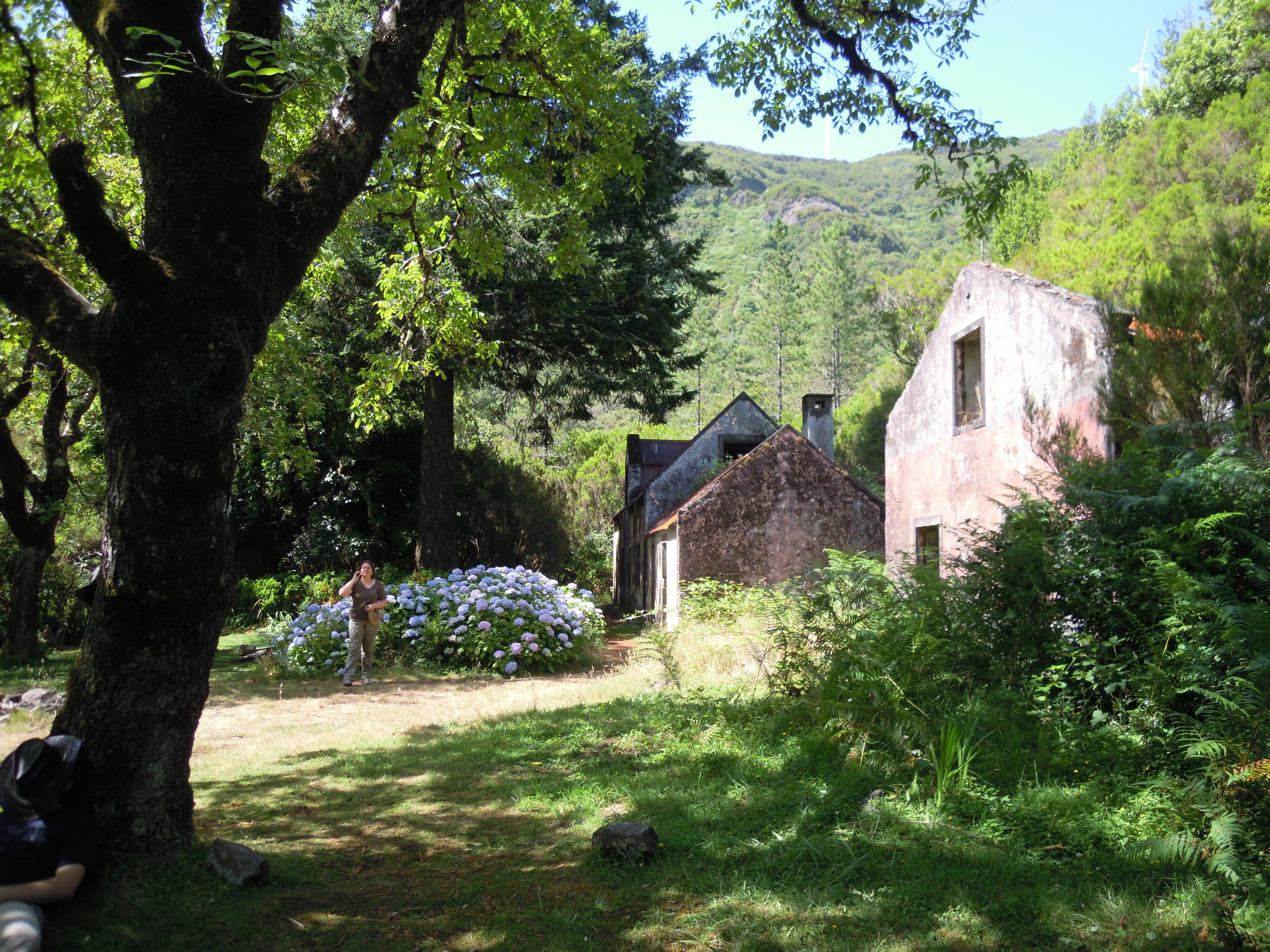 Zefocooke Chalet - A place to love