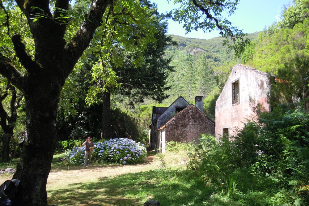 Zefocooke Chalet - A place to love