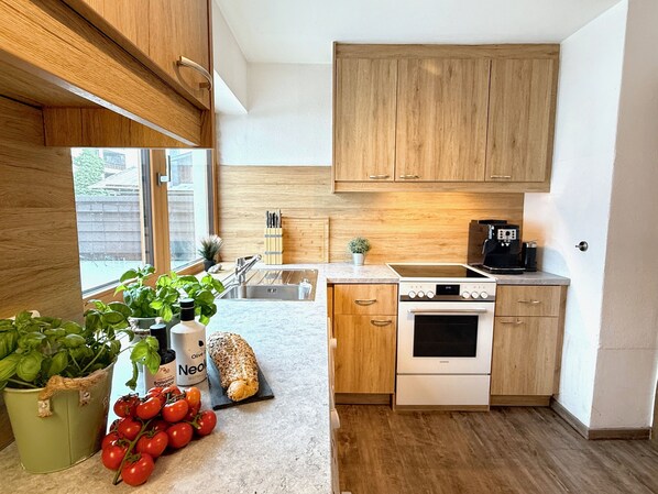 Kühlschrank, Mikrowelle, Ofen, Herdplatte