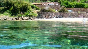 Une piscine aux eaux cristallines où l’on peut distinguer des motifs sous-marins, ainsi qu’un mur de pierre sur lequel grimpent des plantes vertes.