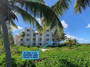 Exterior - SEA SONG Direct Oceanfront, 2 Kings, 2Bath, Beautiful Ocean Views! (Providenciales)