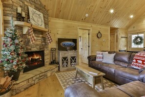 Smart TV, fireplace, DVD player, books