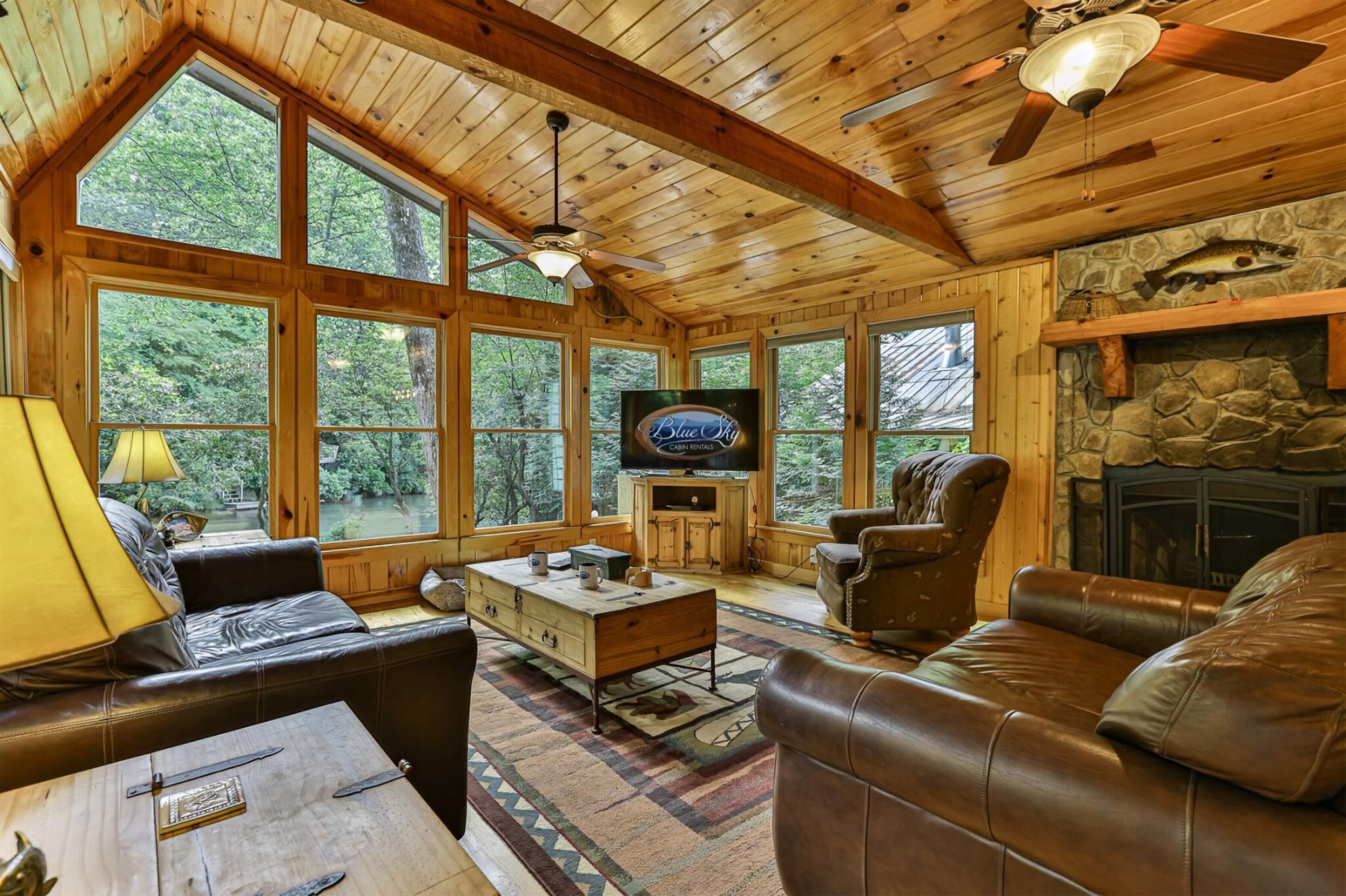 Chimenea y reproductor de DVD 