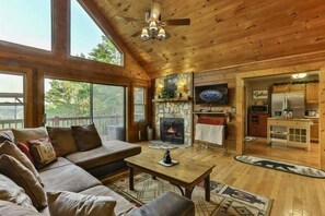 Smart TV, fireplace, DVD player, books