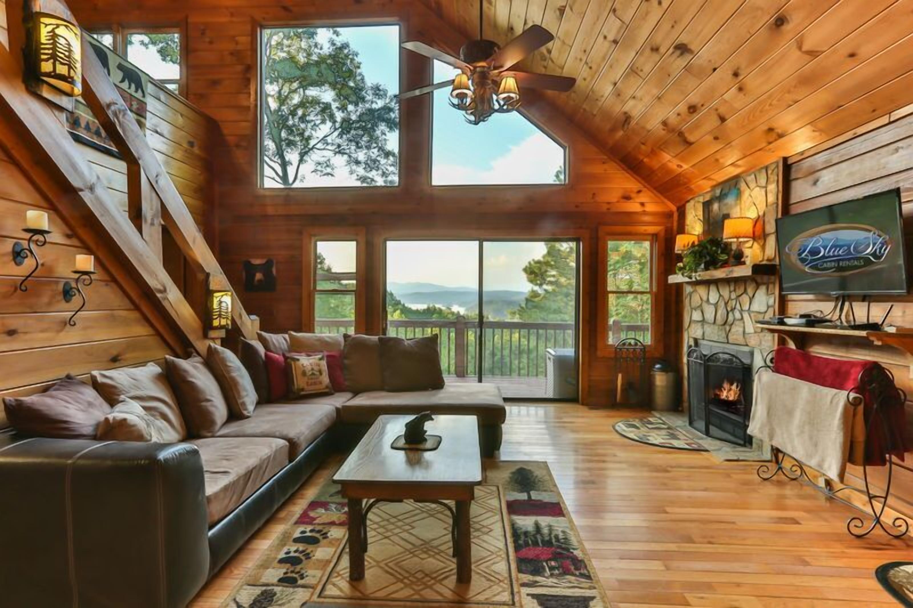 Smart TV, fireplace, DVD player, books