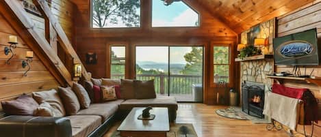 Smart TV, fireplace, DVD player, books