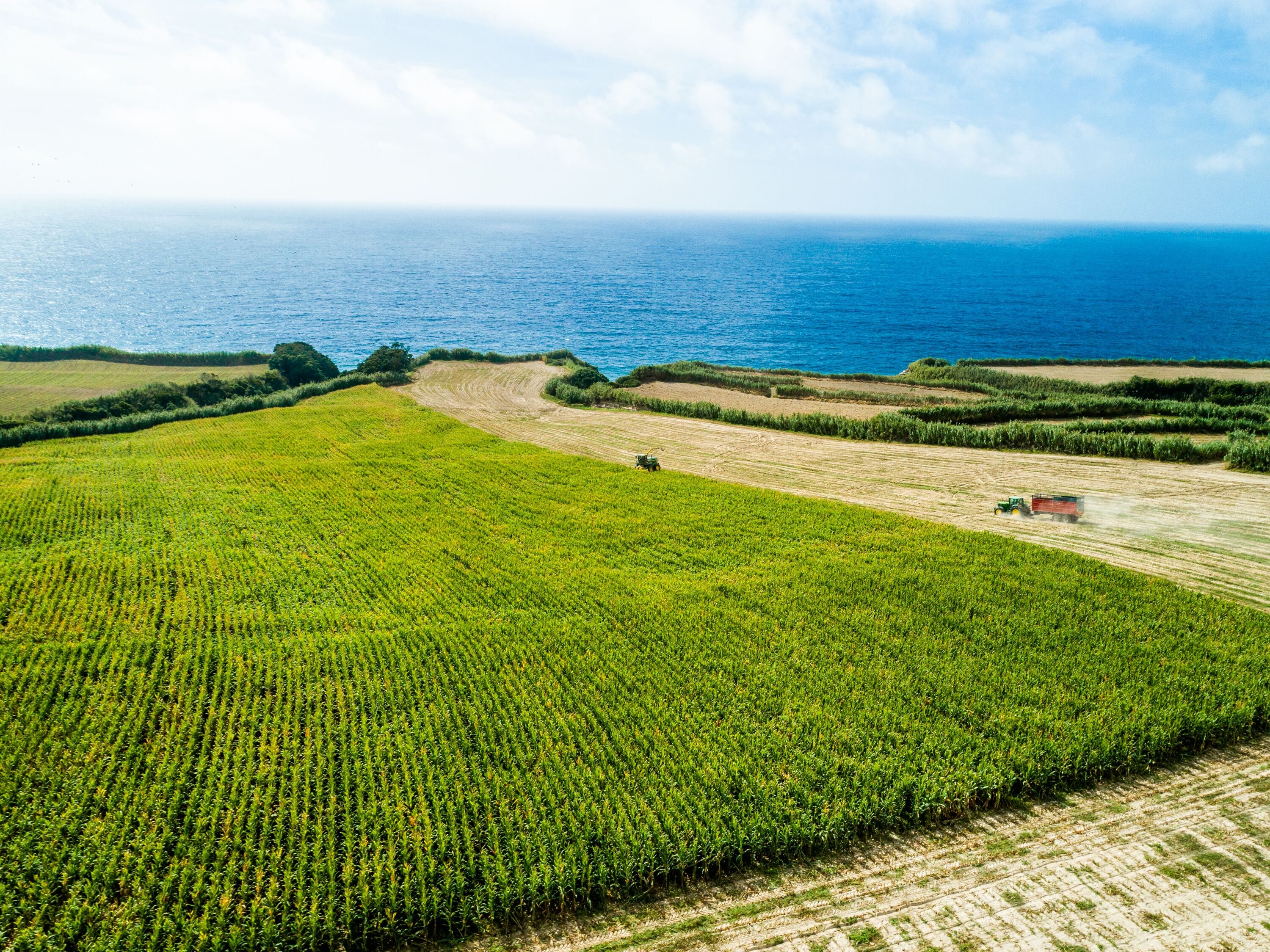 Foto - Sensi Azores Nature and SPA
