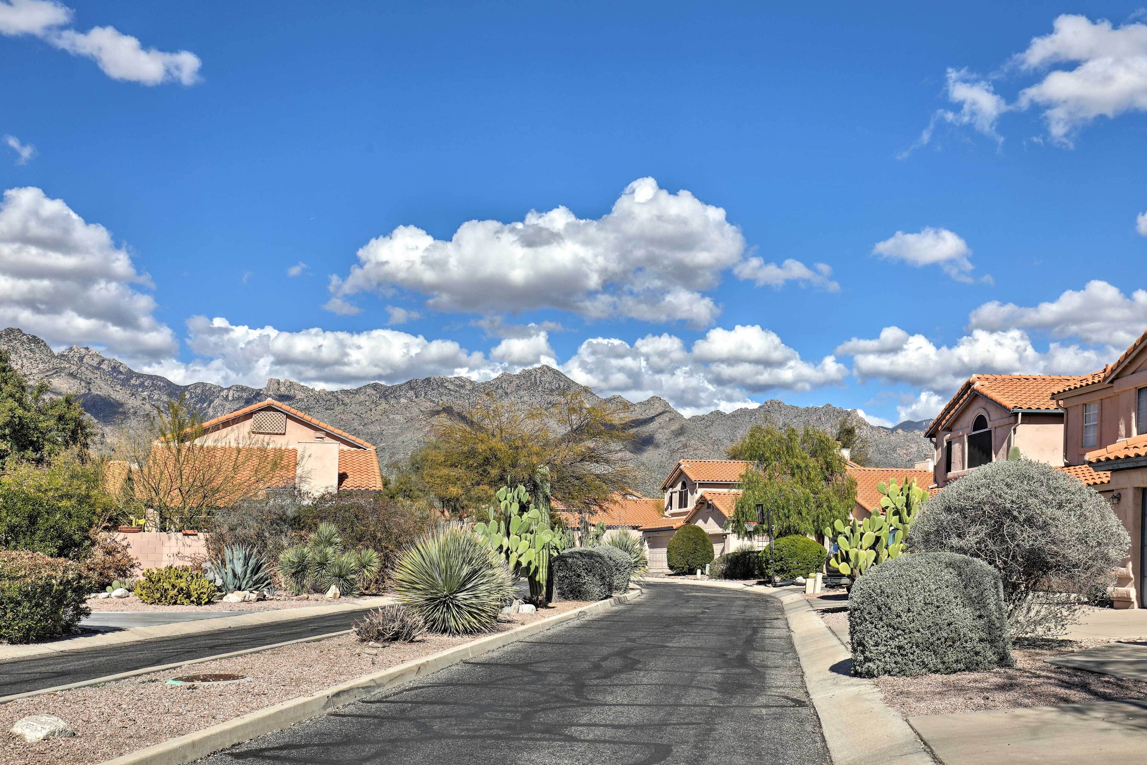 A residential street with houses, cacti, and mountains in the background.