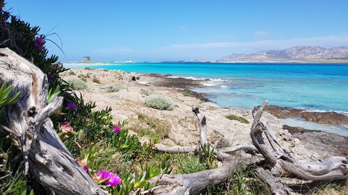 LUXURY HISTORIC HOUSE & EXCLUSIVE TERRACE. Live the Village, Live on the Sea!