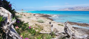 LUXURY HISTORIC HOUSE & EXCLUSIVE TERRACE. Live the Village, Live on the Sea!