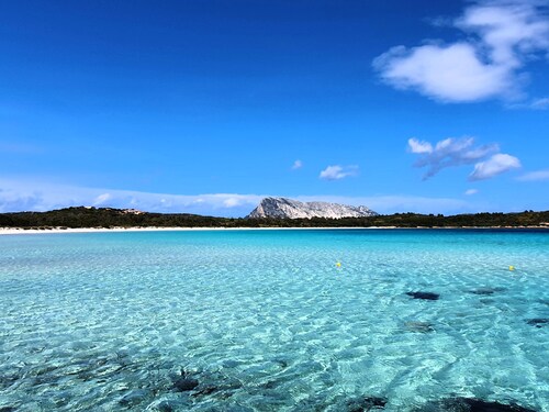 LUXURY HISTORIC HOUSE & EXCLUSIVE TERRACE. Live the Village, Live on the Sea!